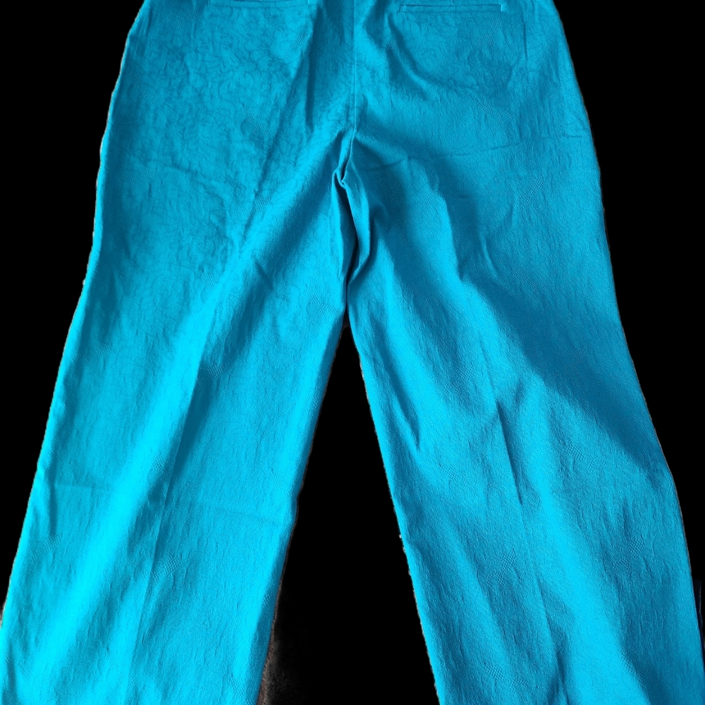 Capris - Picture 5 of 5